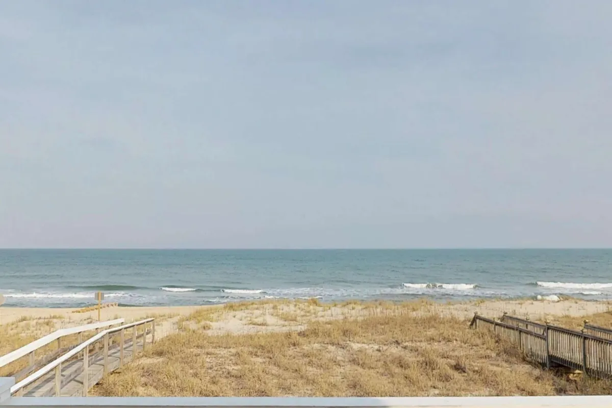 A tranquil view of soft ocean waves rolling onto a broad sandy beach, with a wooden boardwalk visible. The light suggests either early morning or dusk, ideal times for wildlife observation.